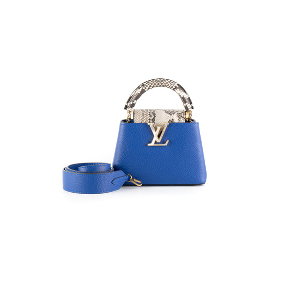 LOUIS VUITTON PYTHON MINI CAPUCINES BAG – Caroline's Fashion Luxuries