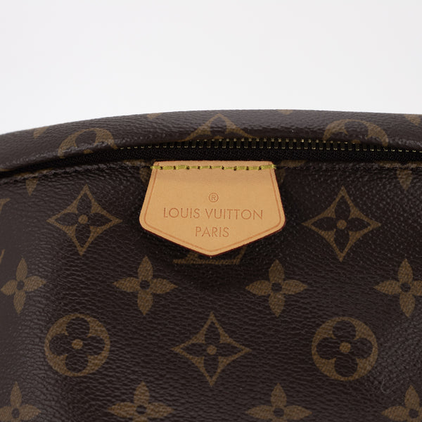 Louis Vuitton Bumbag Monogram - THE PURSE AFFAIR