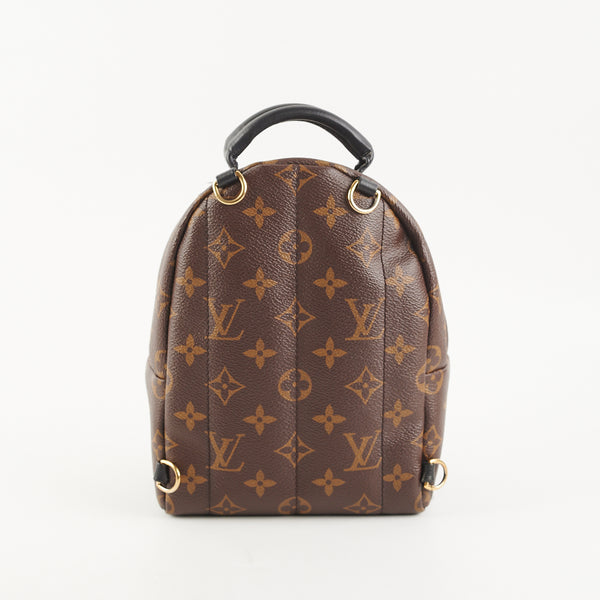 Louis Vuitton Palm Spring Mini backpack crossbody monogram (new zipper -  THE PURSE AFFAIR