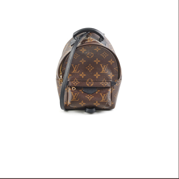 Louis Vuitton Monogram Canvas Mini Palm Springs Backpack