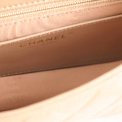 Chanel Seasonal Flap Dark Beige Microchip