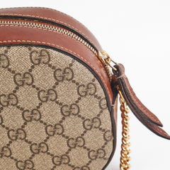 Gucci Monogram Crossbody Bag