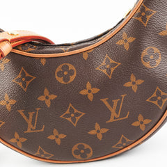 Louis Vuitton Loop Monogram Bag