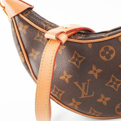 Louis Vuitton Loop Monogram Bag