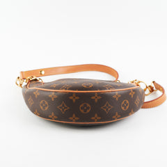 Louis Vuitton Loop Monogram Bag