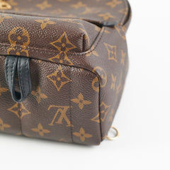 Louis Vuitton Palm Springs Mini Monogram