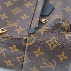 Louis Vuitton Palm Springs Mini Monogram