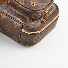 Louis Vuitton Utility Monogram Crossbody Bag