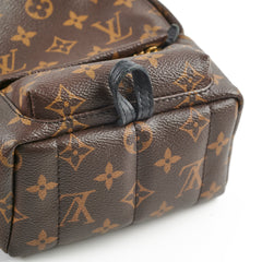 Louis Vuitton Mini Palm Spring Monogram