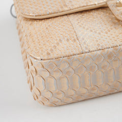 Chanel Python Flap Bag Light Gold