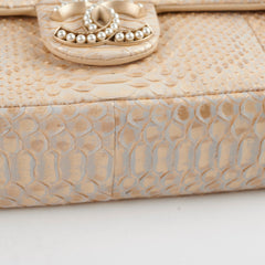 Chanel Python Flap Bag Light Gold