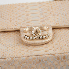 Chanel Python Flap Bag Light Gold