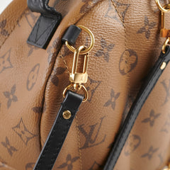 Louis Vuitton Mini Palm Springs Reverse Monogram