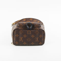 Louis Vuitton Palm Spring Mini Monogram Backpack New Style Zipper