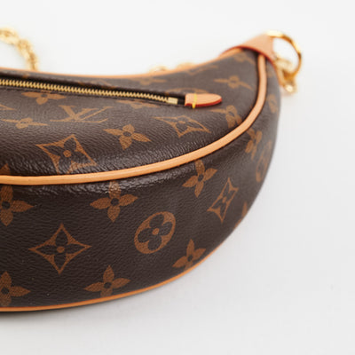 Louis Vuitton Loop Hobo Monogram Bag - THE PURSE AFFAIR