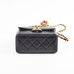 Chanel Seasonal Square Black Goat Skin Microchipped 2022