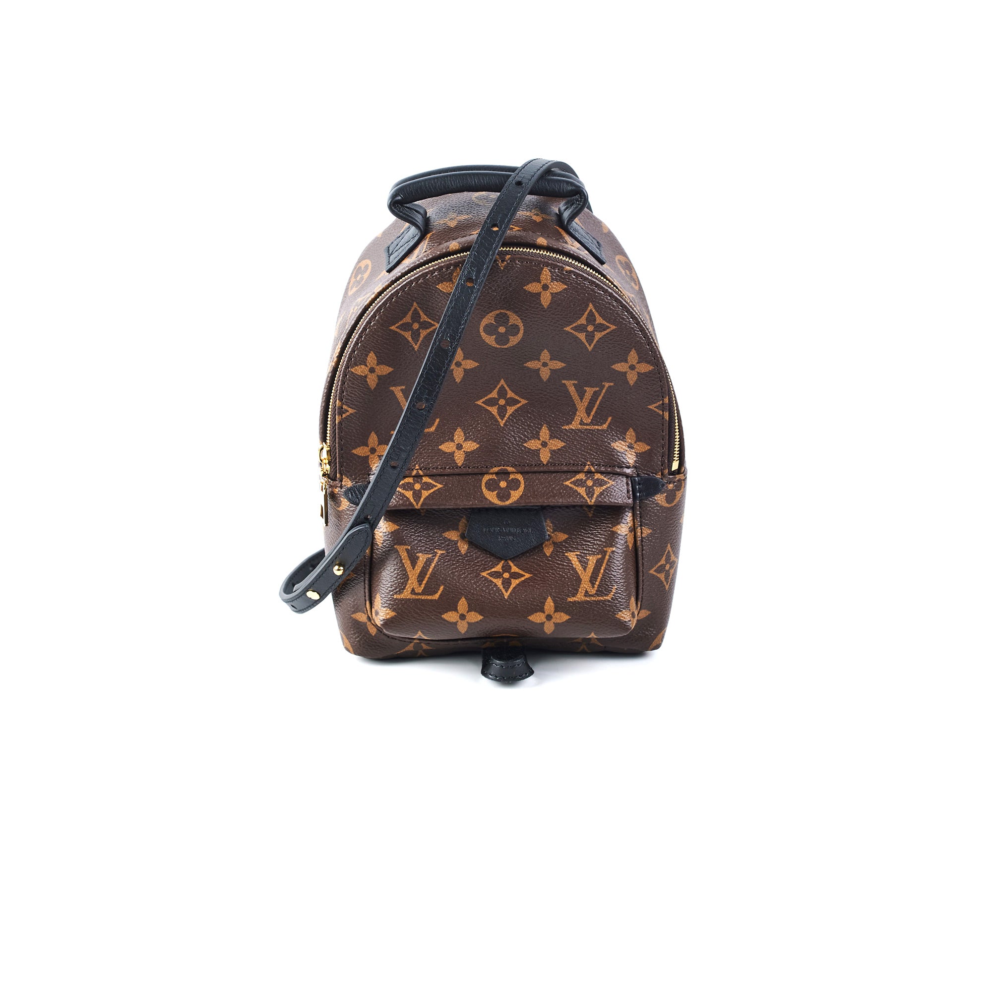 Louis Vuitton 'Palm Springs' Backpack Mini