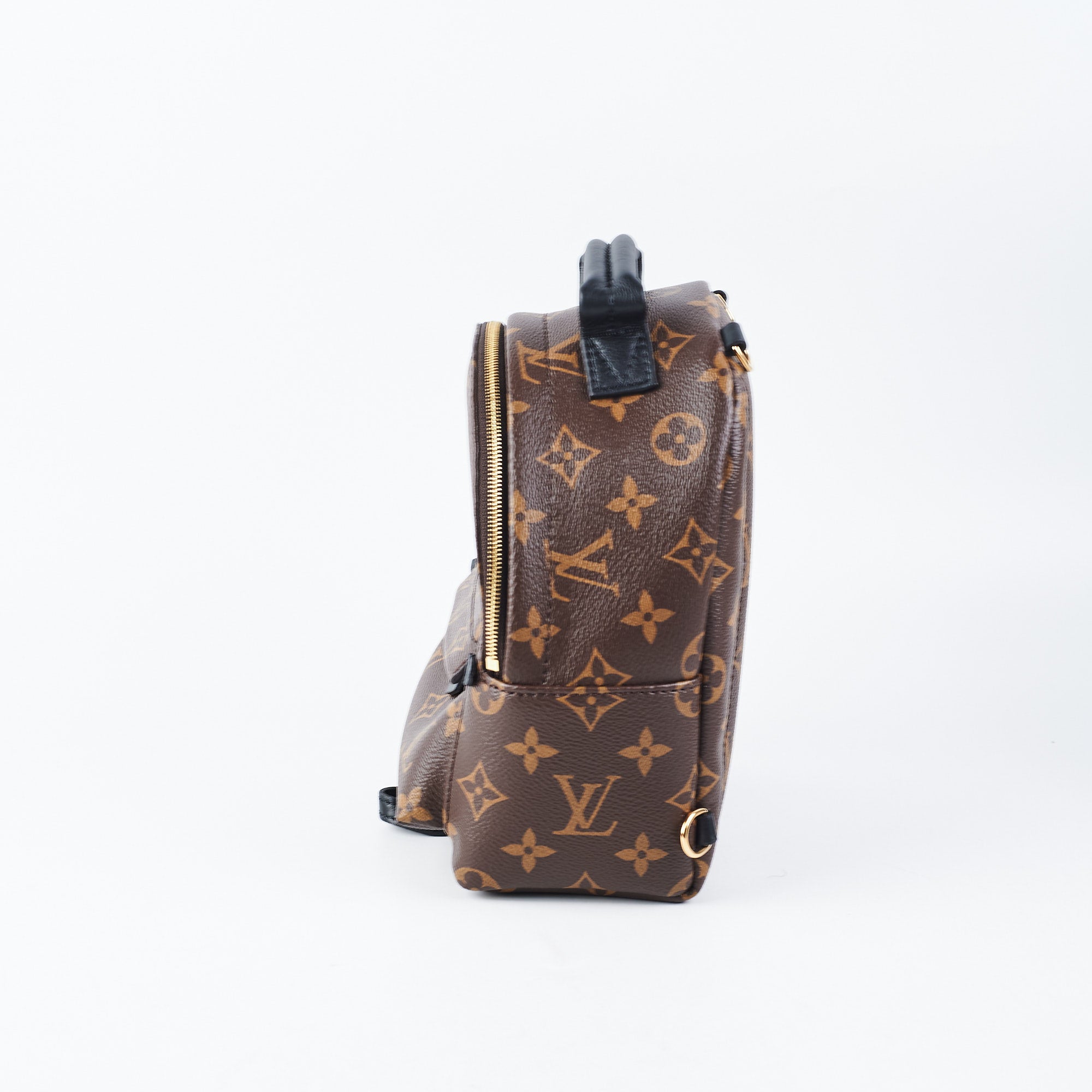 Louis Vuitton Palm Springs Mini Backpack - Rashmi Bhanja