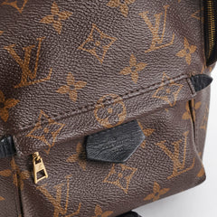 Louis Vuitton Palm Spring Mini Monorgam