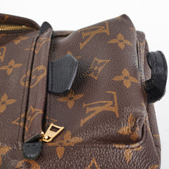 Louis Vuitton Palm Spring Mini Monorgam