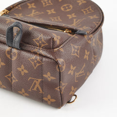 Louis Vuitton Mini Palm Springs Monogram