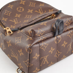 Louis Vuitton Mini Palm Springs Monogram