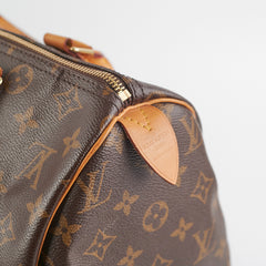 Louis Vuitton Speedy 30 Monogram