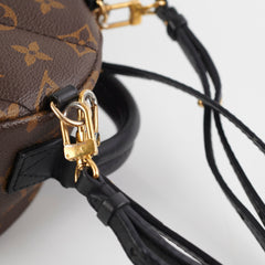 Louis Vuitton Palm Springs Mini Monogram Backpack