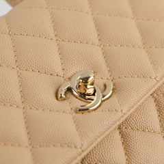 Chanel Coco Handle Small Beige Lizard Handle- Series 30