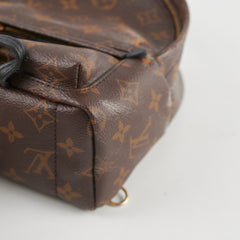 Louis Vuitton Mini Palm Spring Backpack Monogram