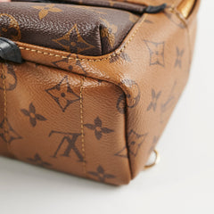 Louis Vuitton Reverse Monogram Mini Palm Springs