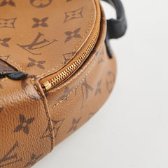 Louis Vuitton Reverse Monogram Mini Palm Springs