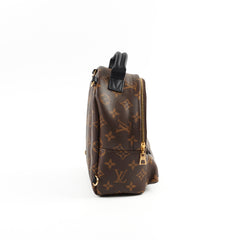 Louis Vuitton Palm Spring Mini Monogram