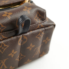 Louis Vuitton Palm Spring Mini Monogram