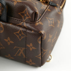 Louis Vuitton Palm Spring Mini Monogram