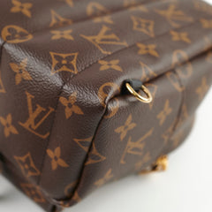 Louis Vuitton Palm Spring Mini Monogram