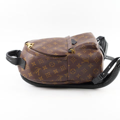 Louis Vuitton PM Palm Spring Backpack Monogram