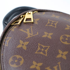 Louis Vuitton PM Palm Spring Backpack Monogram