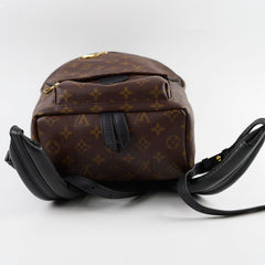 Louis Vuitton PM Palm Spring Backpack Monogram