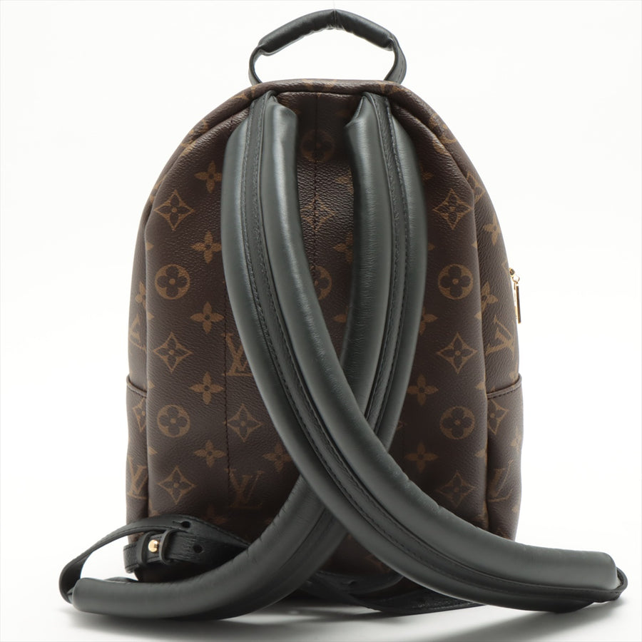 Louis Vuitton Palm Springs PM Backpack in Monogram Noir - SOLD