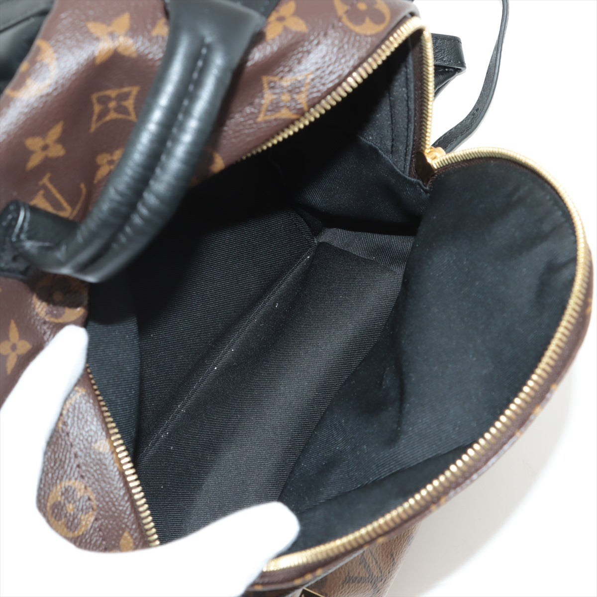 Louis Vuitton Palm Spring PM new zipper