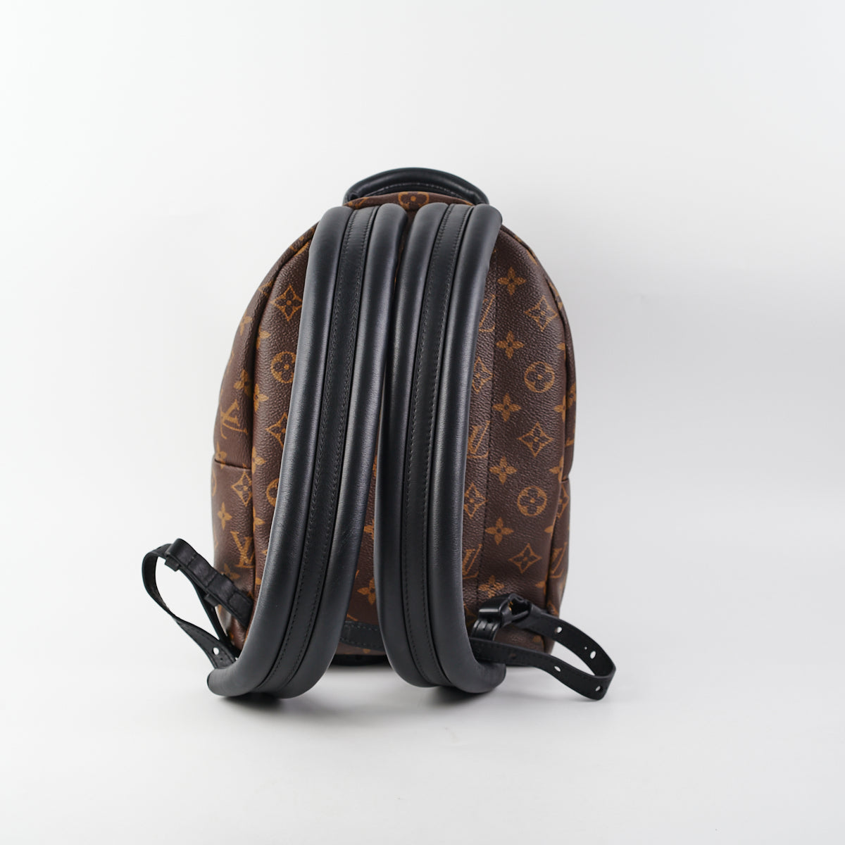 Louis Vuitton Palm Springs Backpack Reverse Monogram Canvas PM Brown