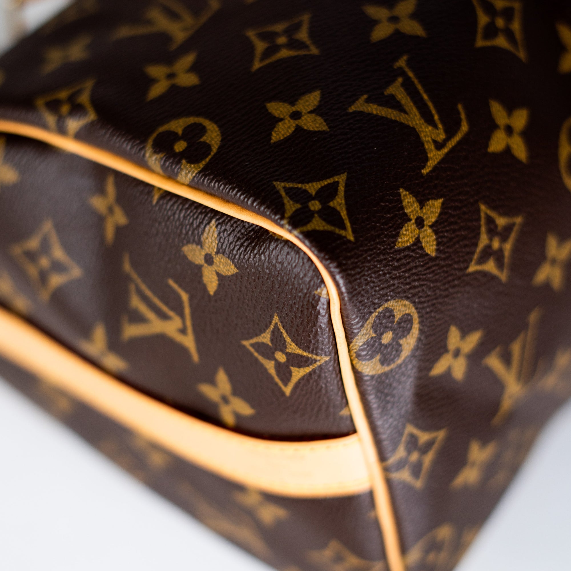 Louis Vuitton, Bags, Louis Vuitton Speedy 25 Nm Handbag Monogamy
