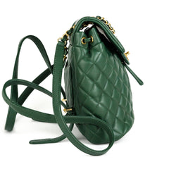 Chanel Metalasse Backpack Green 26 Series