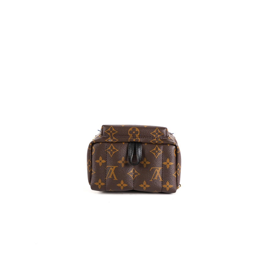 Louis Vuitton Palm Spring Mini Monogram - THE PURSE AFFAIR