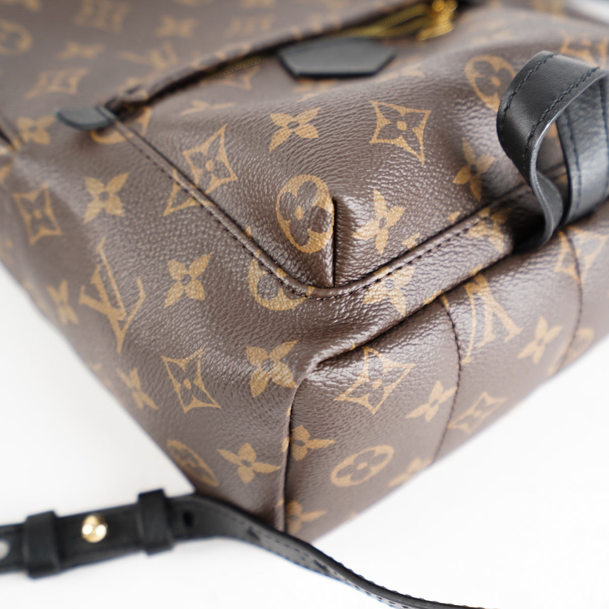 Louis Vuitton Palm Springs Mm Brown Monogram Canvas Backpack - MyDesignerly