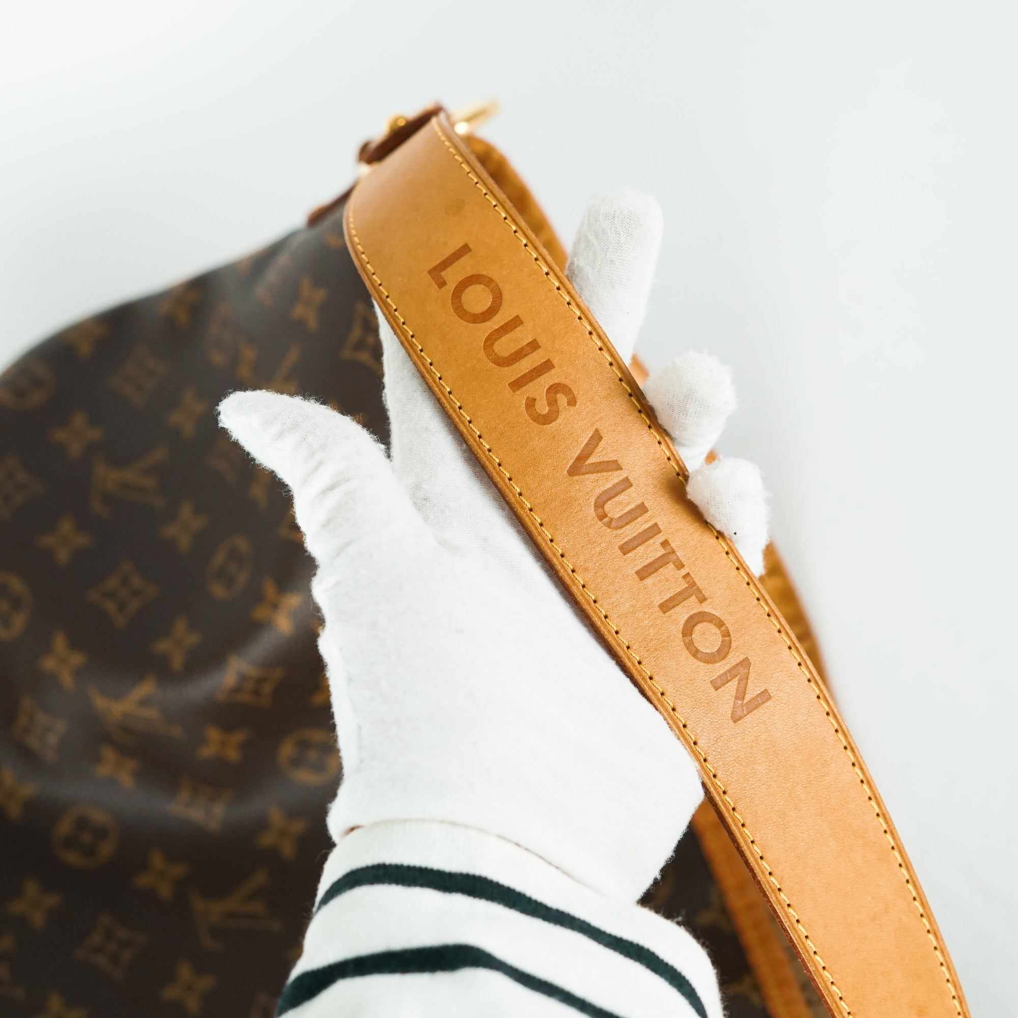 Louis Vuitton Delightful PM Monogram Hobo - MyDesignerly