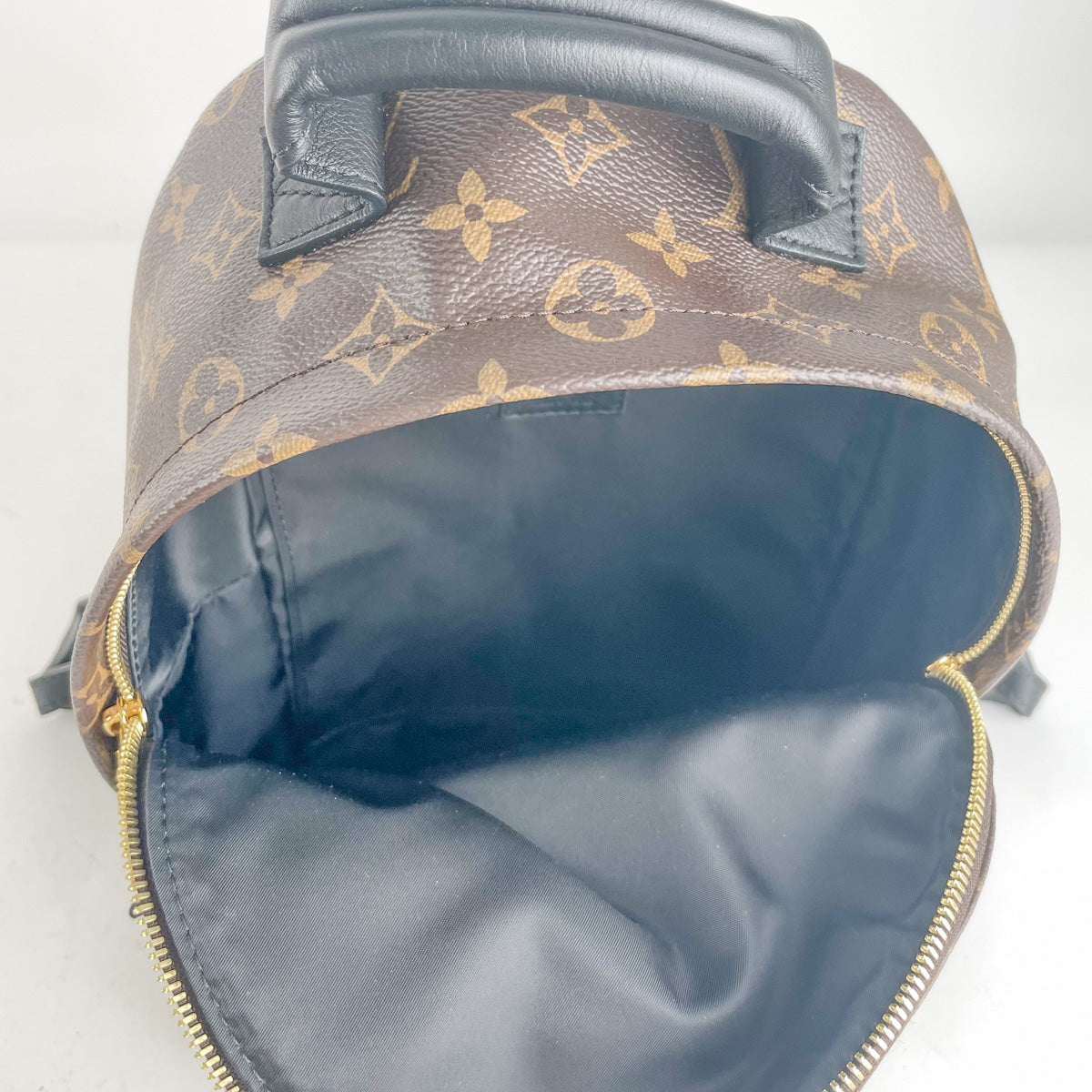 Louis Vuitton Palm Springs Backpack Backpack 359297