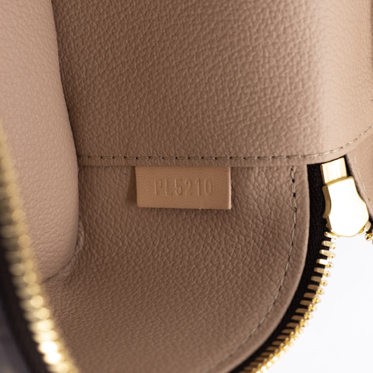 Louis Vuitton Nice Nano vanity bag ✨