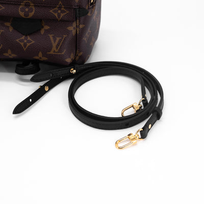 Louis Vuitton Palm Spring Mini Monogram - THE PURSE AFFAIR